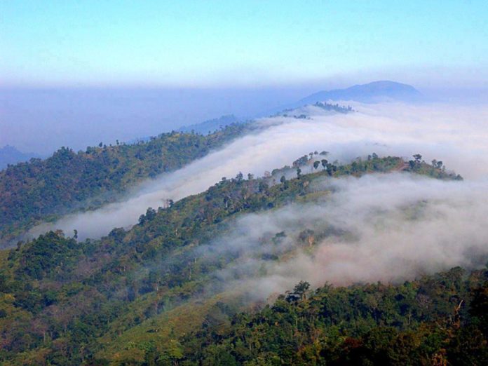 Nilgiri bandarban