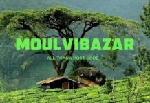 Moulvibazar District – All Thana or Upazila Postcode or Zip Code