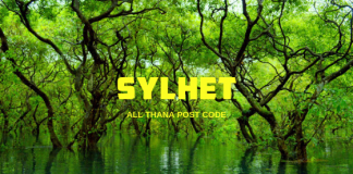 Sylhet District – All Thana or Upazila Postcode or Zip Code